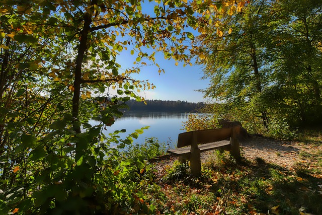 場地佈置將 場地佈置將