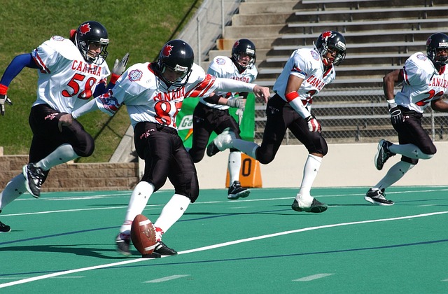 西部排名局 西部排名局