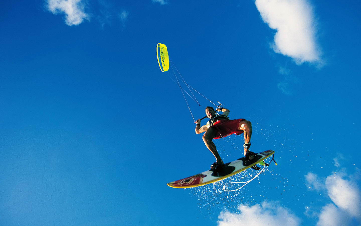 球队树立了 球队树立了